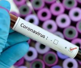 264-more-persons-tests-positive-for-corona-virus-in-puduchery