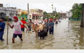 bihar-flood