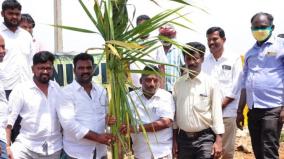 karaikudi-80-acres-seemai-karuvela-trees-uprooted-on-the-eve-of-independence