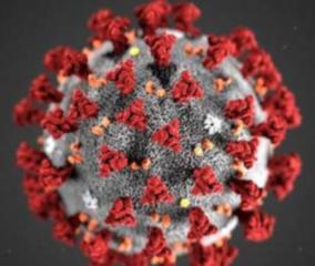 20-persons-tests-positive-for-corona-virus-in-thirupathur-jail