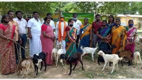 inexpensive-goats-for-landless-rural-poor-women-central-government-scheme-to-promote-rural-economy