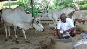 kallal-farmer-makes-natural-viboothi