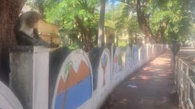 courtallam-walls-beautified-with-paintings