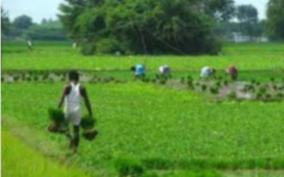 agricultural-associations