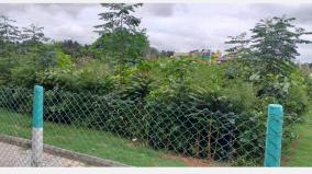 shrub-formation-with-3000-trees-per-12-thousand-square-feet-in-hosur