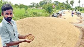 farmers-waiting-with-paddy-on-the-road