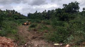 miyawaki-forests-to-be-set-up-in-tenkasi