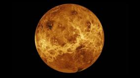 life-signs-in-venus
