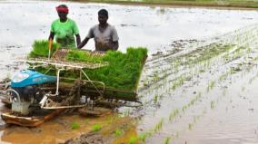 madurai-paddy-cultivation-land-increases