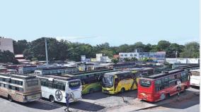 omni-buses