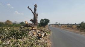 don-t-fell-tress-if-you-are-not-able-to-plant-10-trees-for-1-felled-tree-hc