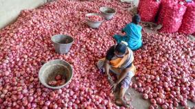 onion-prices-soar-high