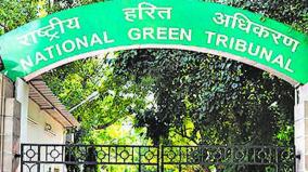green-tribunal