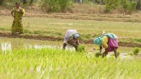 hc-slams-centre-state-over-farmers-scheme