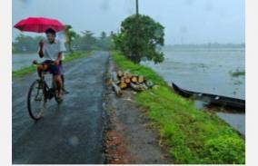 depression-in-north-inland-karnataka-heavy-rains-in-nellai-kanyakumari-meteorological-department