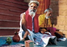 bihar-elections-exit-poll-ban-applies-to-astrologers-tarot-readers-analysts-too-says-ec