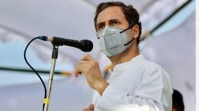 rahul-gandhi-to-visit-wayanad-lok-sabha-constituency-from-oct-19-to-21