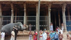 srirangam-vaigundam-festival