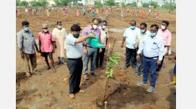 33-acres-of-land-owned-by-the-corporation-of-chennai-at-chengalpattu-traditional-landscaping-system