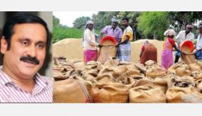 rain-soaked-paddy-should-be-procured-by-relaxing-the-rules-anbumani-ramadas-request