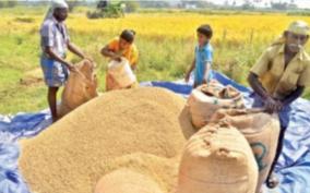 paddy-purchasing-stations