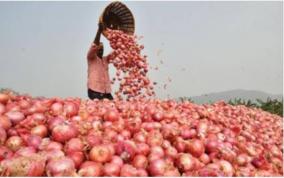 onion-in-ration-shop