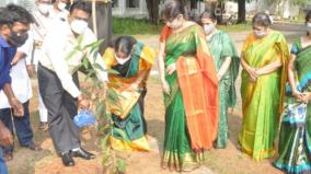 miyawaki-forest-to-be-setup-in-gandhi-museum