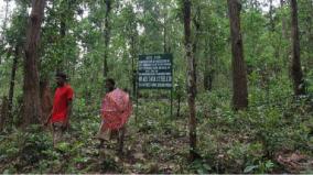 will-tribals-working-as-forest-assistants-made-permanent