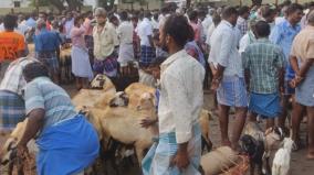 thirupuvanam-goat-market-sales-go-up