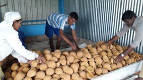 jaggery-traders-affected