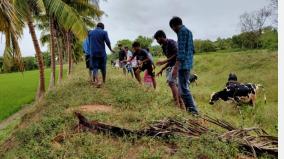 2nd-year-of-gajah-storm-palm-lovers-sow-1000-palm-seeds-in-kothamangalam