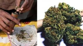 ganja-door-delivery-2-arrested