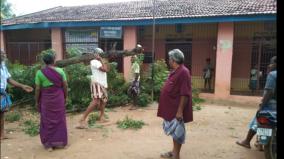 fear-of-cyclone-villagers-cutting-down-trees