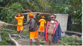 removal-of-102-fallen-trees-by-nivar-storm-chennai-police-relief-work