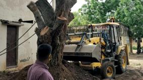 tree-damage-in-puduchery