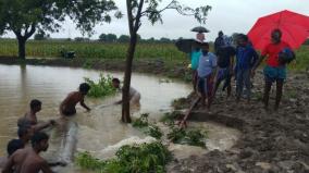 farmers-in-lake-work