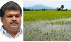 25-lakh-acres-of-crops-submerged-in-rains-gk-vasan-urges-action