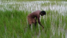 kovilpatti-1000-acre-field-flooded-farmers-under-distress