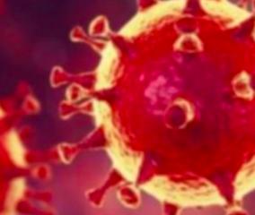 35-persons-tested-positive-for-corona-virus-in-puduchery-today