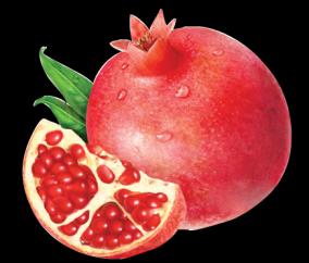 pomegranate-skin
