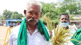 continuous-rains-damage-paddy-crops-in-saruganai
