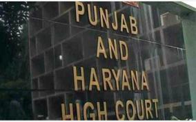 haryana-high-court