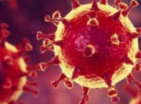 50-persons-tested-positive-for-corona-virus-in-puduchery-today