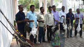 bird-hunting-joint-study-by-tamil-nadu-puducherry-forest-department-seizure-of-bird-meat-the-hunters-who-snatched-and-fled