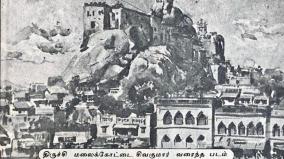 chithira-solai-26