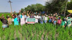 farmers-not-celebrated-new-year