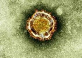 new-strain-of-novel-coronavirus