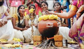 pongal-festival