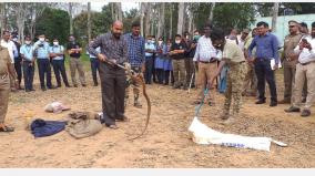 how-to-find-and-deal-with-venomous-snakes-one-day-training-camp-in-hosur-chennai-snake-farm-expert-group-participation