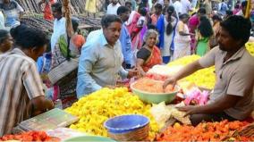 tenkasi-pongal-celebration-in-low-note-due-to-rains